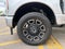 2024 Ford Super Duty F-250 Pickup Platinum