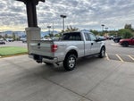 2009 Ford F-150 XL
