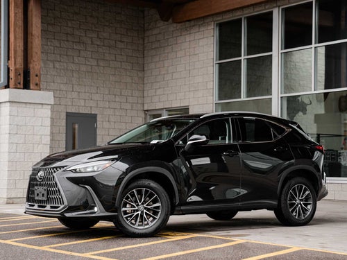 2022 Lexus NX 350h Premium