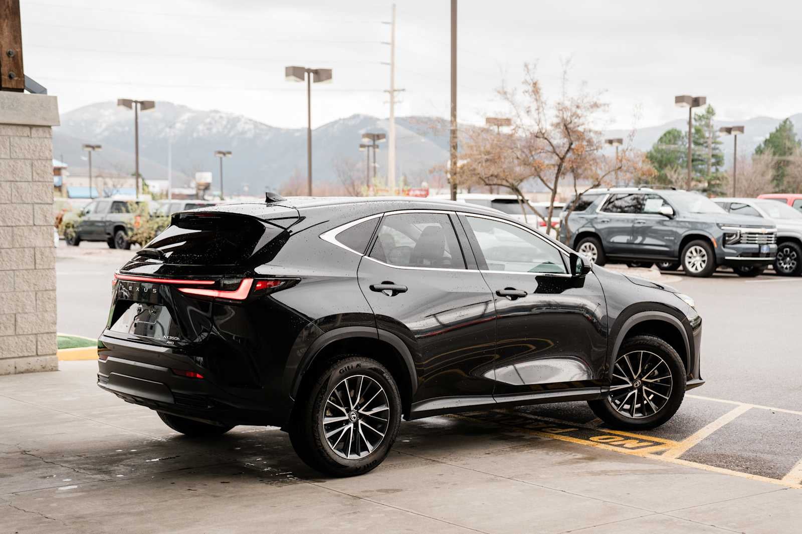 2022 Lexus NX 350h Premium