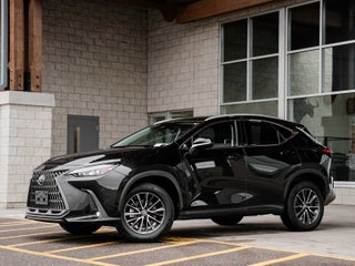 2022 Lexus NX 350h Premium