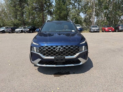 2021 Hyundai Santa Fe Calligraphy