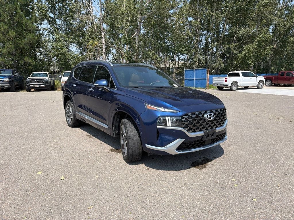 2021 Hyundai Santa Fe Calligraphy